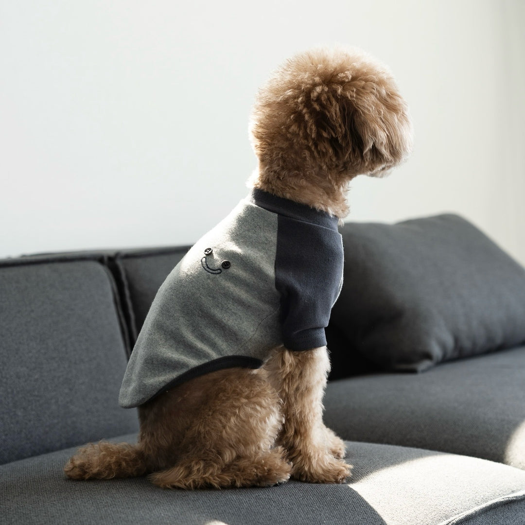 Striped Raglan Sleeve Dog Tee Shirt