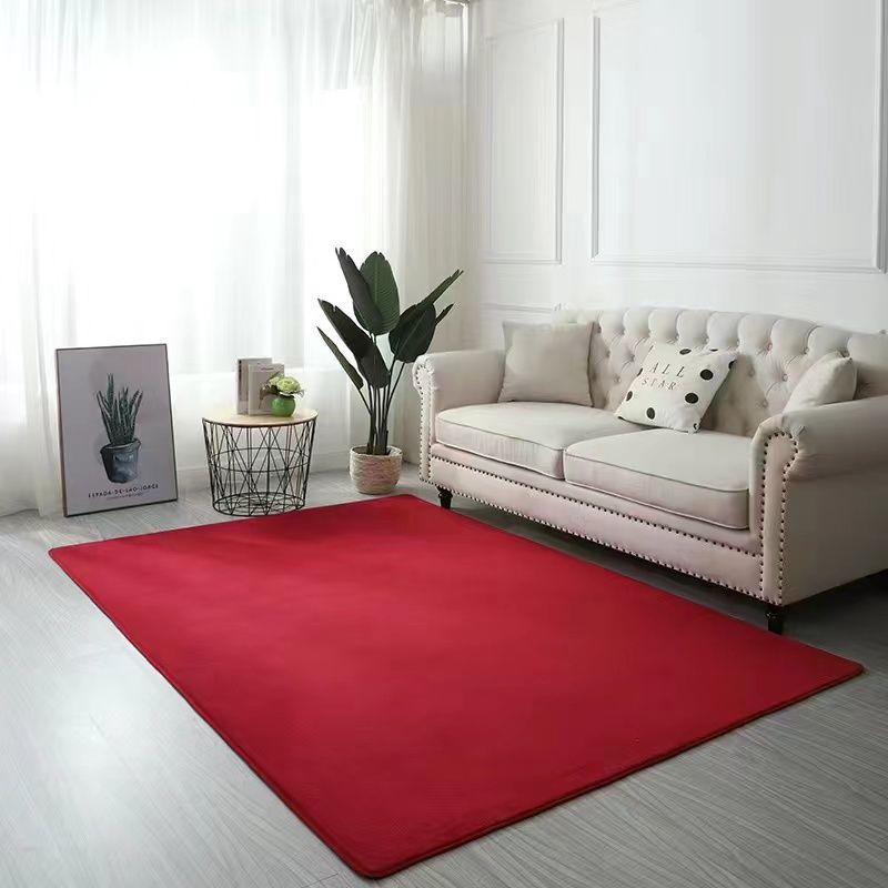 Cozy Area Rug for Indoor Home Decor