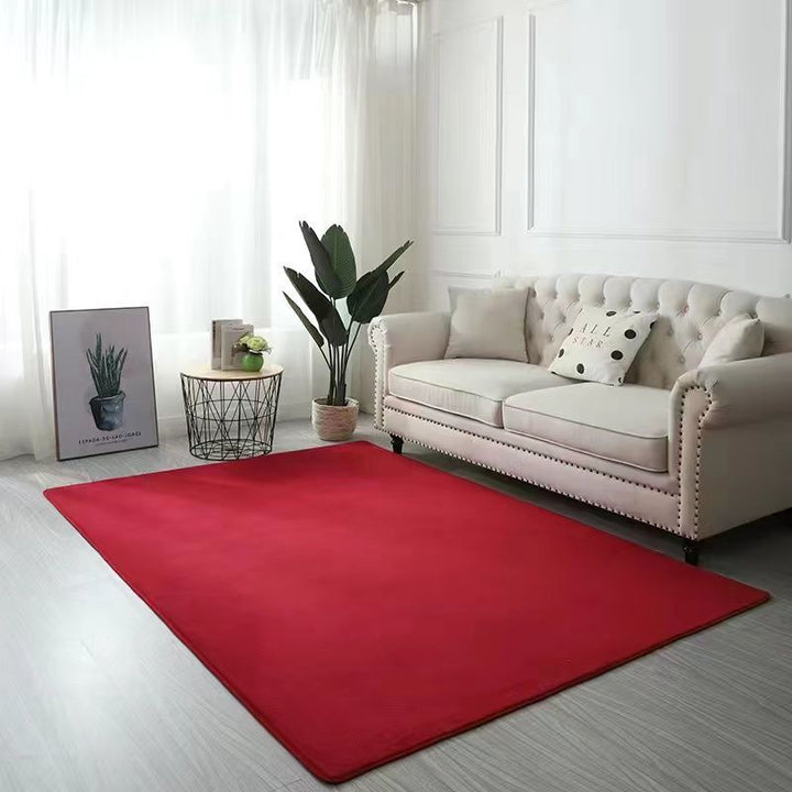 Cozy Area Rug for Indoor Home Decor