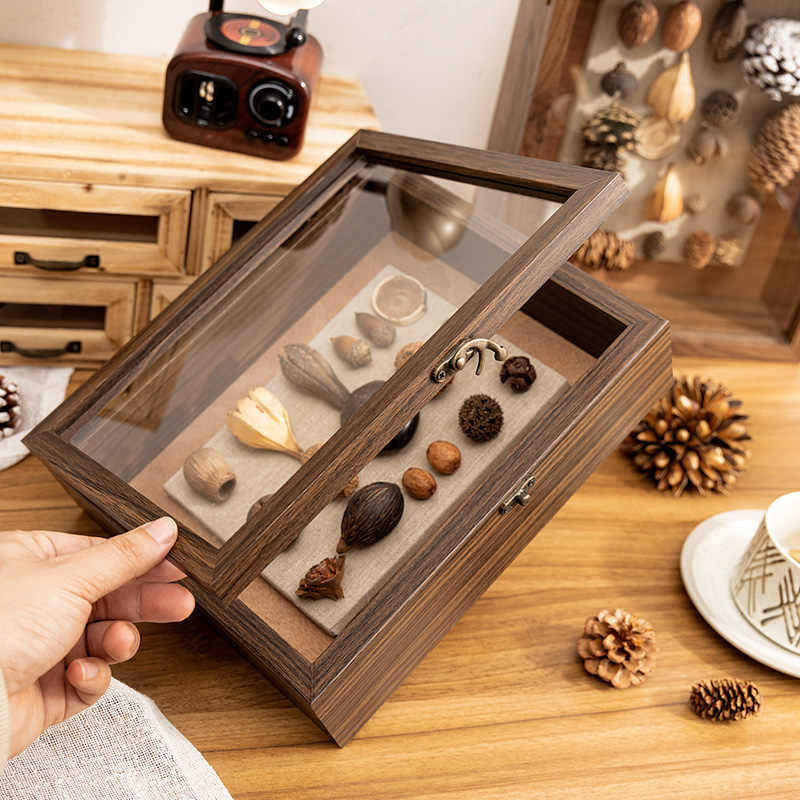 Decorative Shadow Box Frame with Natural Elements