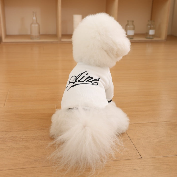 Pet Knit Polo Sweater with Ribbed Collar and Embroidered Chest