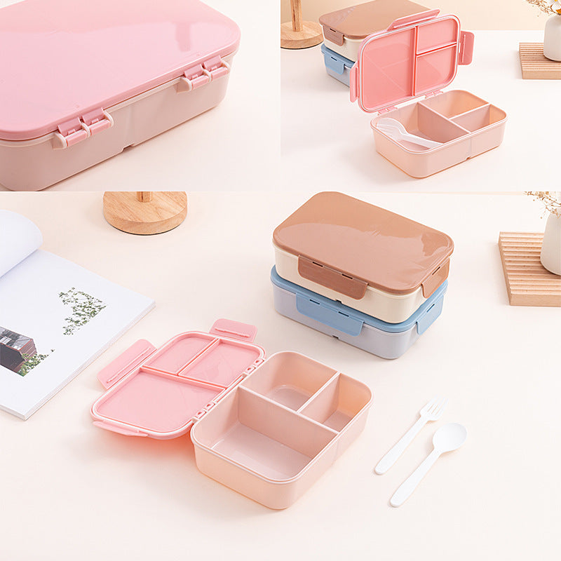 Multi-Compartment Lunch Box