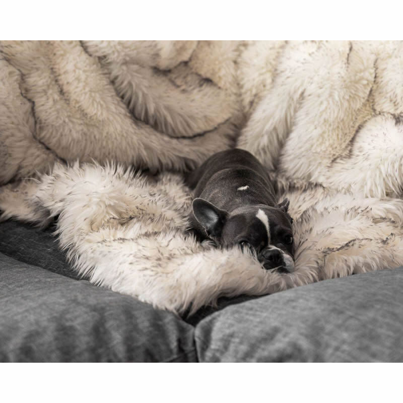 Unisex soft pet blanket with luxurious plush Kalsten