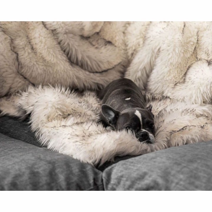 Unisex soft pet blanket with luxurious plush Kalsten