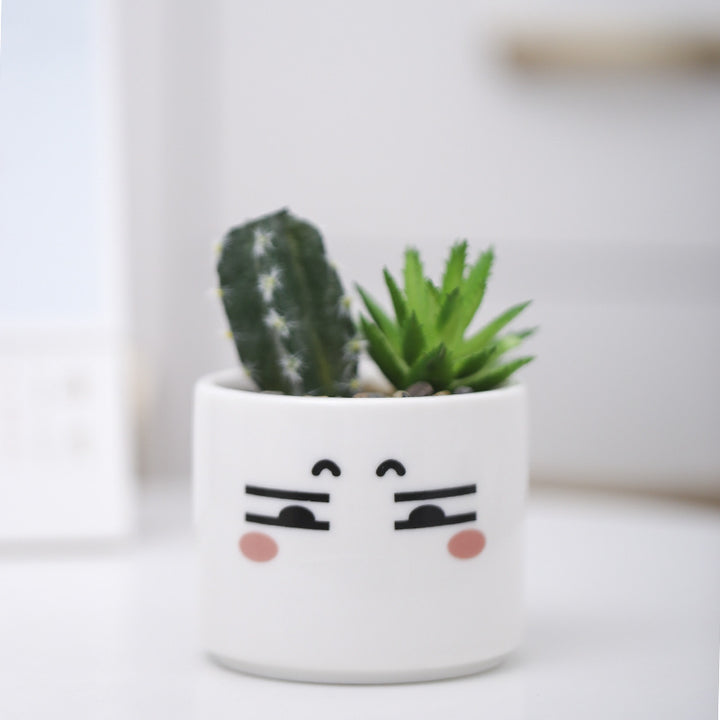Cute Animal-Themed Succulent Planter Kalsten