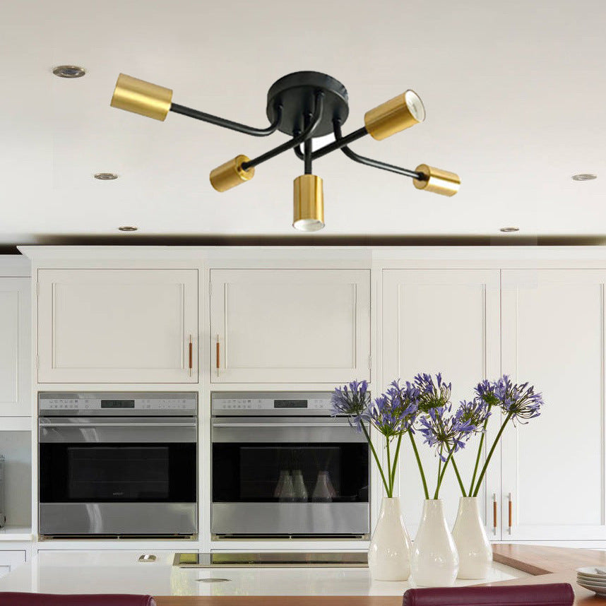 Adjustable Spotlight Ceiling Fixture
