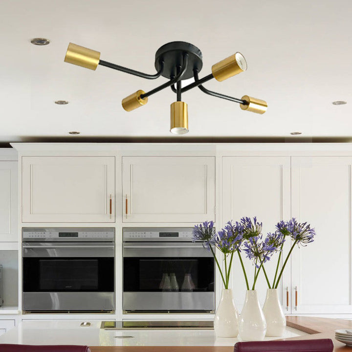 Adjustable Spotlight Ceiling Fixture
