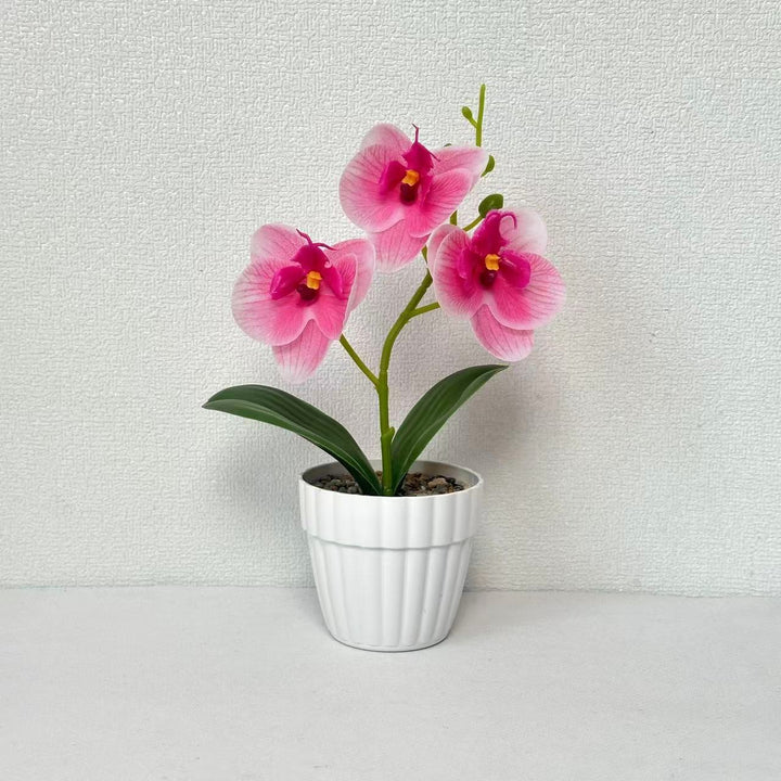 Decorative Artificial Orchid Arrangement for Decorative Home Display