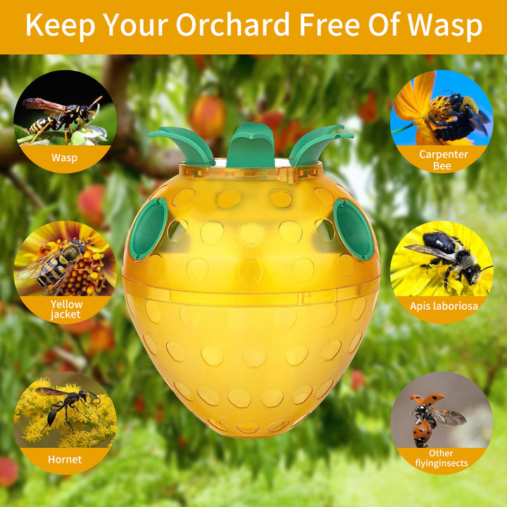 Attractive Insect Trap Kalsten
