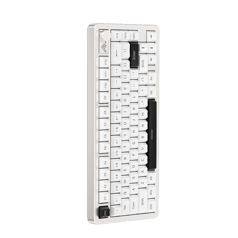 Compact Ergonomic Mechanical Keyboard Kalsten