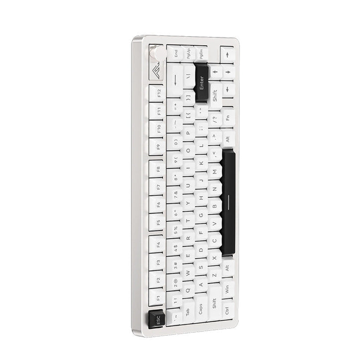 Compact Ergonomic Mechanical Keyboard Kalsten