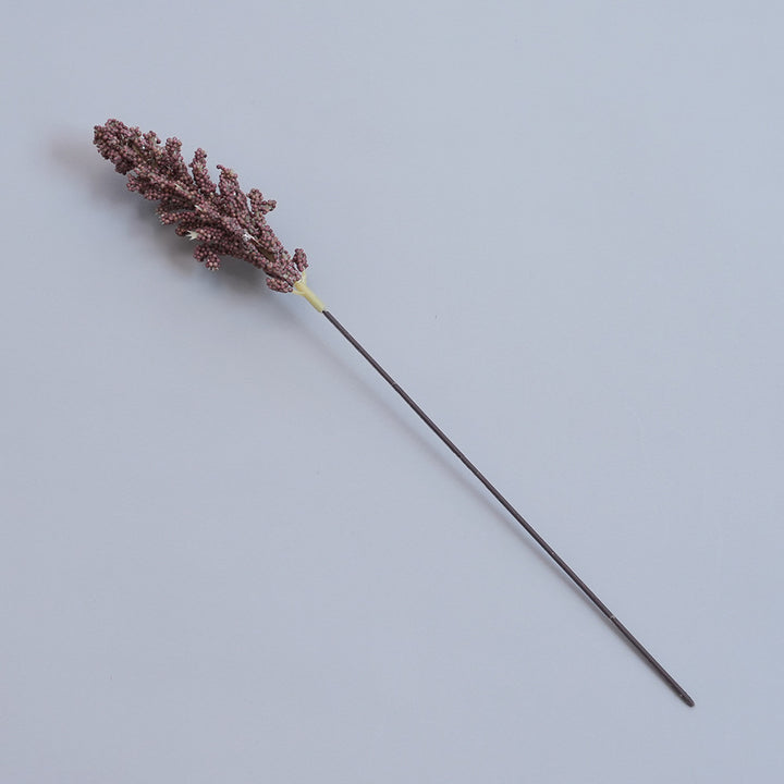 Elegant Dried Botanical Stem