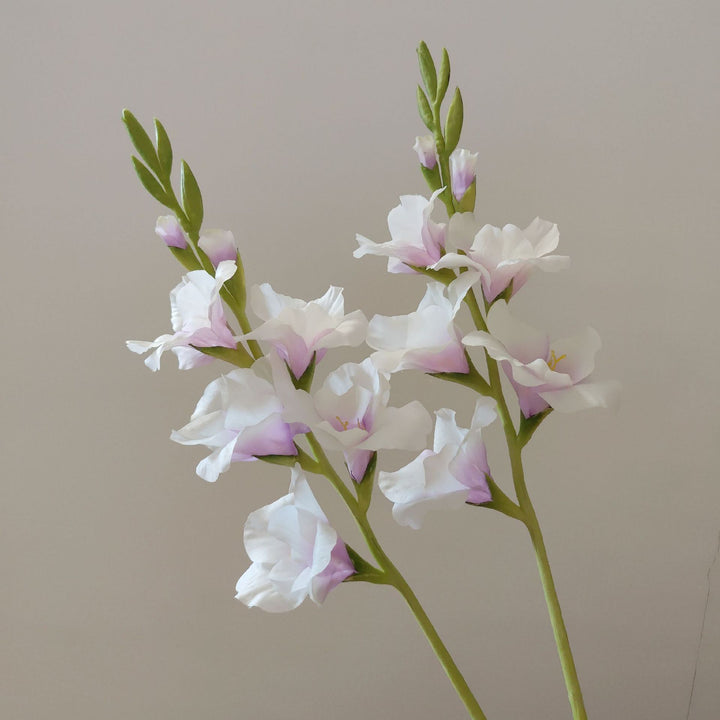 Orchid Floral Stem