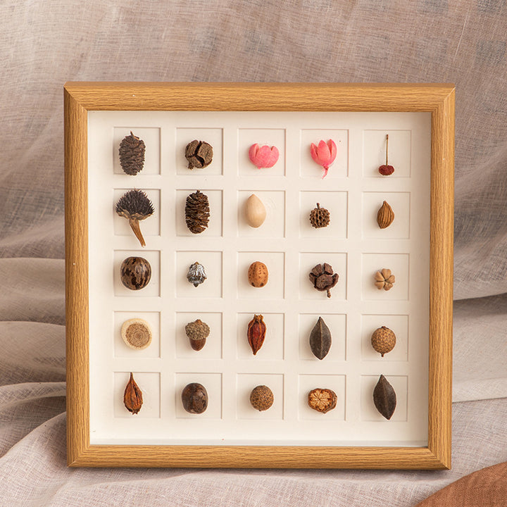 Botanical Specimen Display Frame