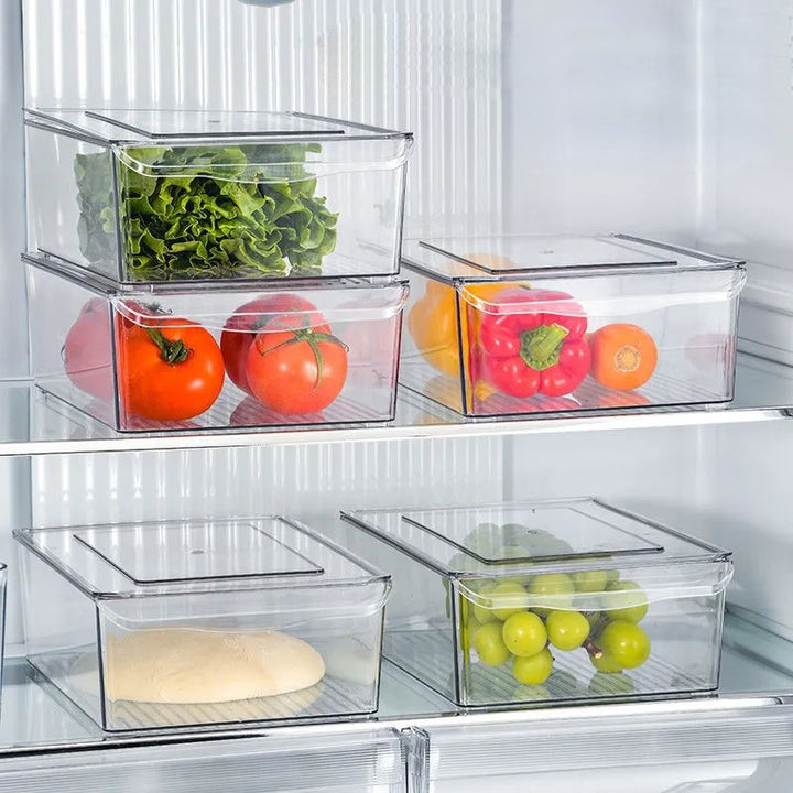 Teig fermentation box with airtight lid and ridged bottom