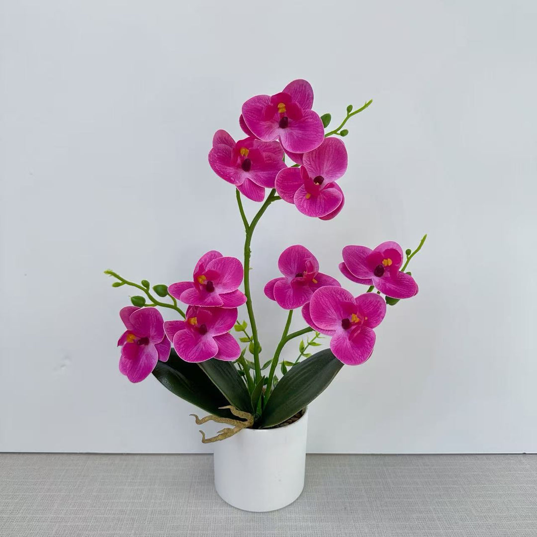 Decorative Orchid for Home Decor Display