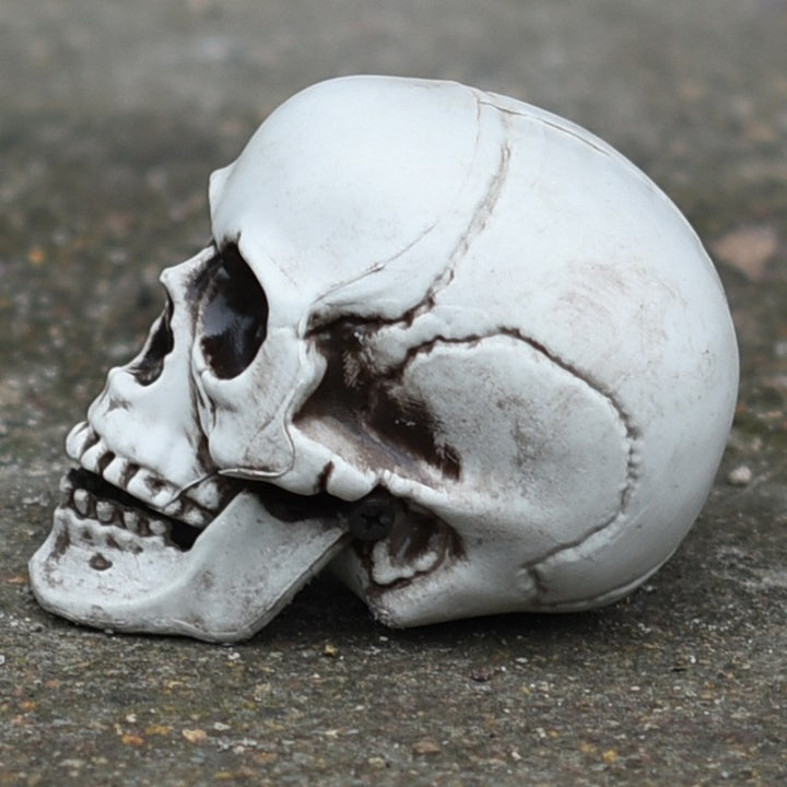 Decorative Skull Figurine Kalsten
