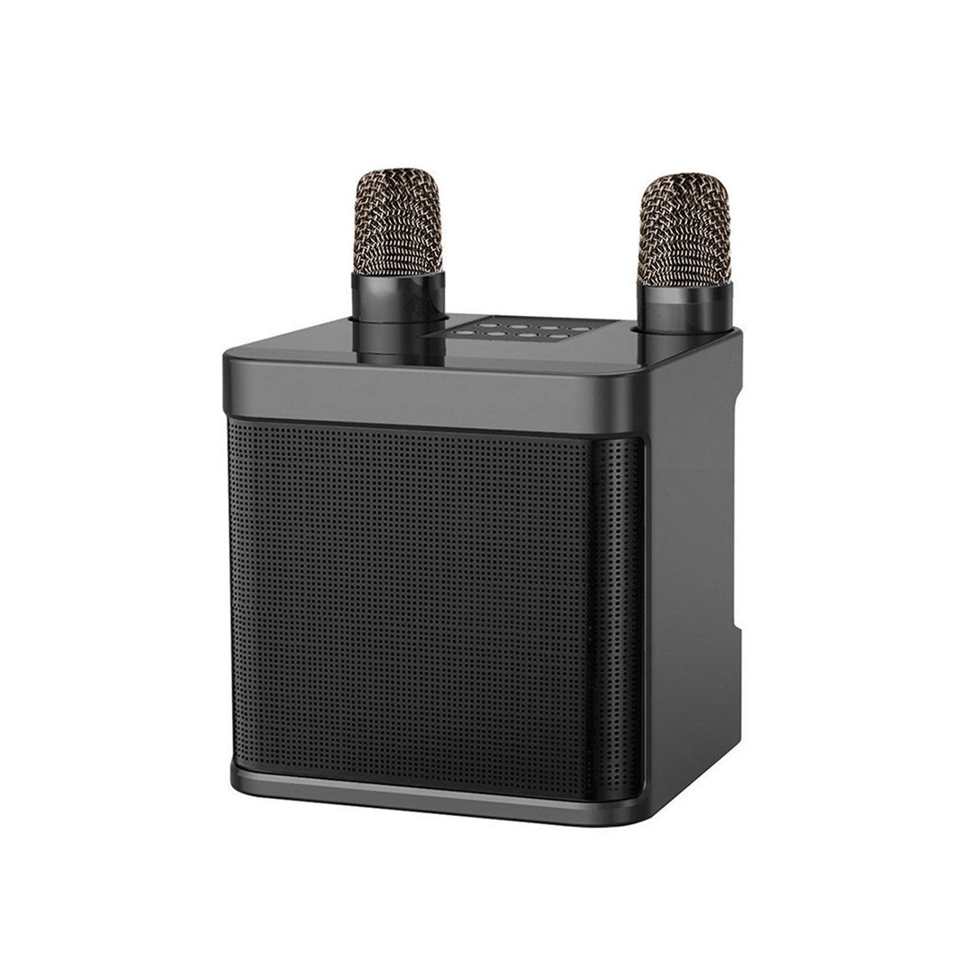 Karaoke Microphone Speaker System Kalsten