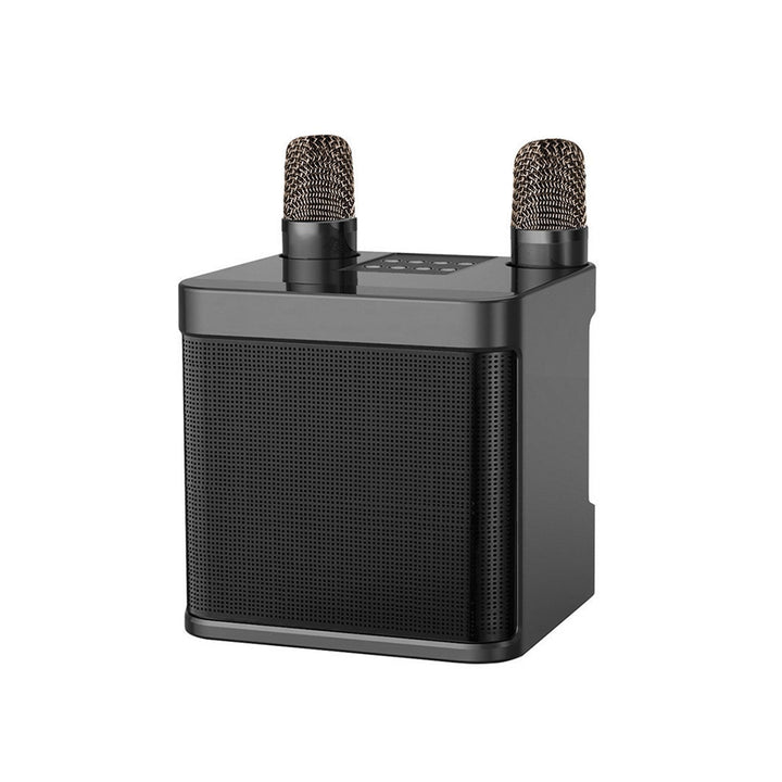 Karaoke Microphone Speaker System Kalsten