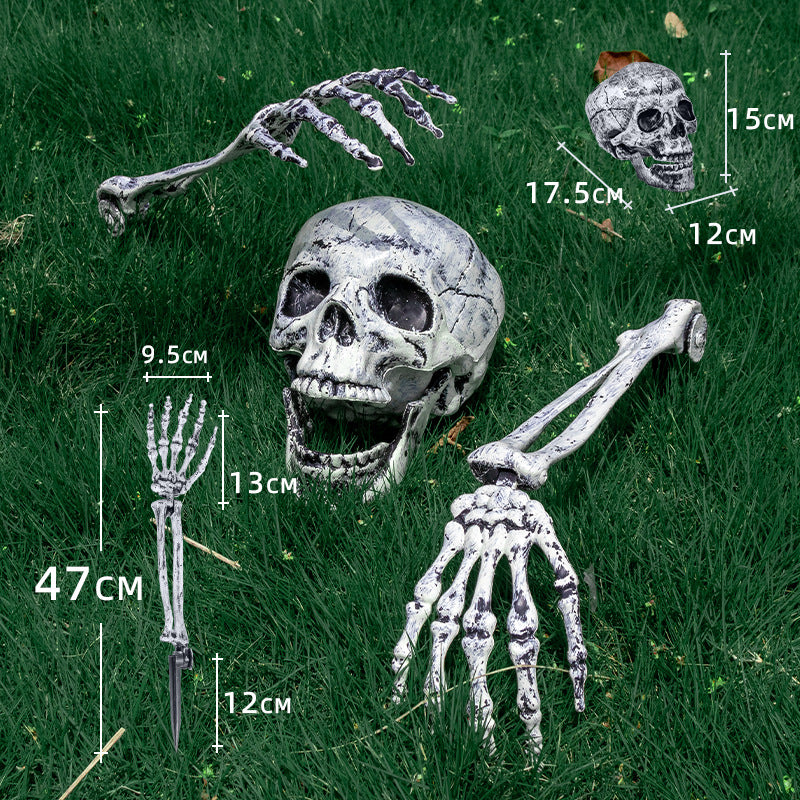 Decorative Skeleton Hand and Skull Décor Kalsten