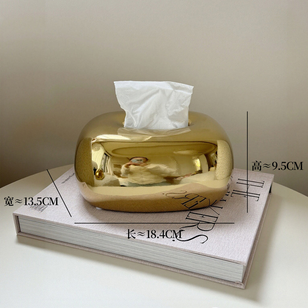 Decorative Tissue Box for Home