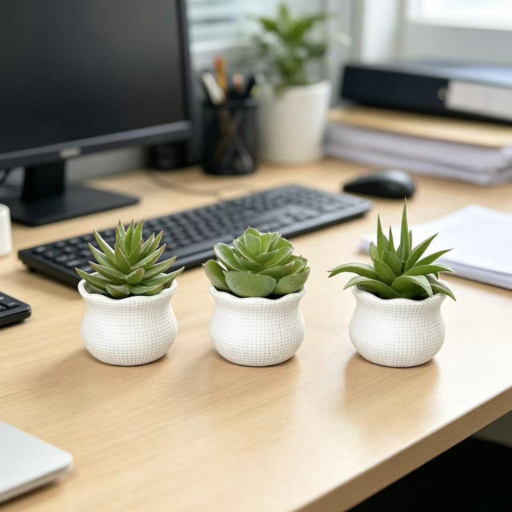 Decorative Succulent Planter for Indoor Home Decor