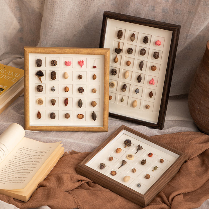 Botanical Specimen Display Frame