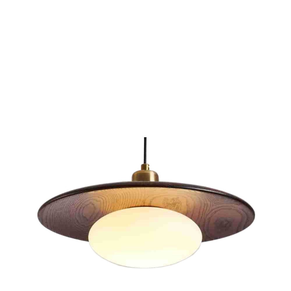 Modern Artistic Pendant Light Fixture
