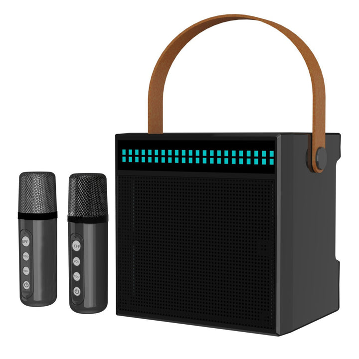 Portable Karaoke System with Dual Microphones Kalsten