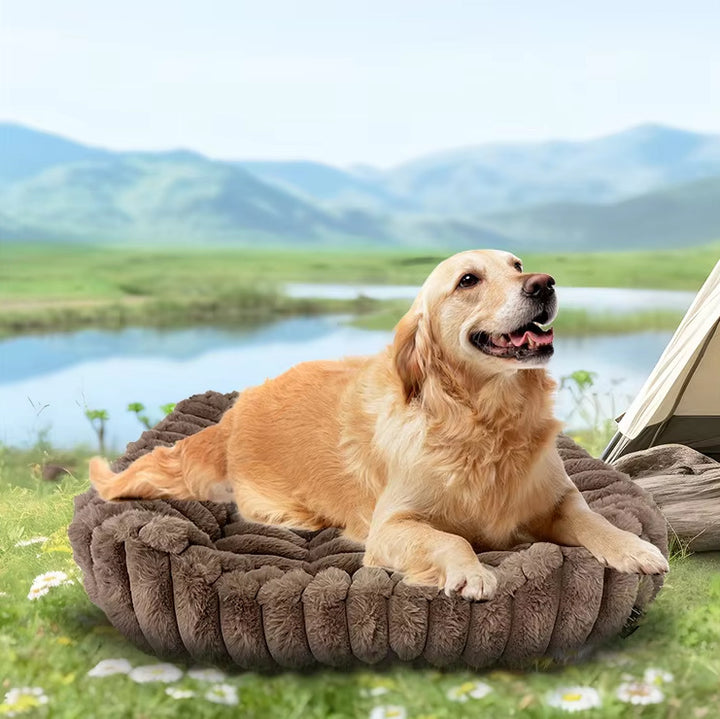 Cloud-Shaped Dog Bed