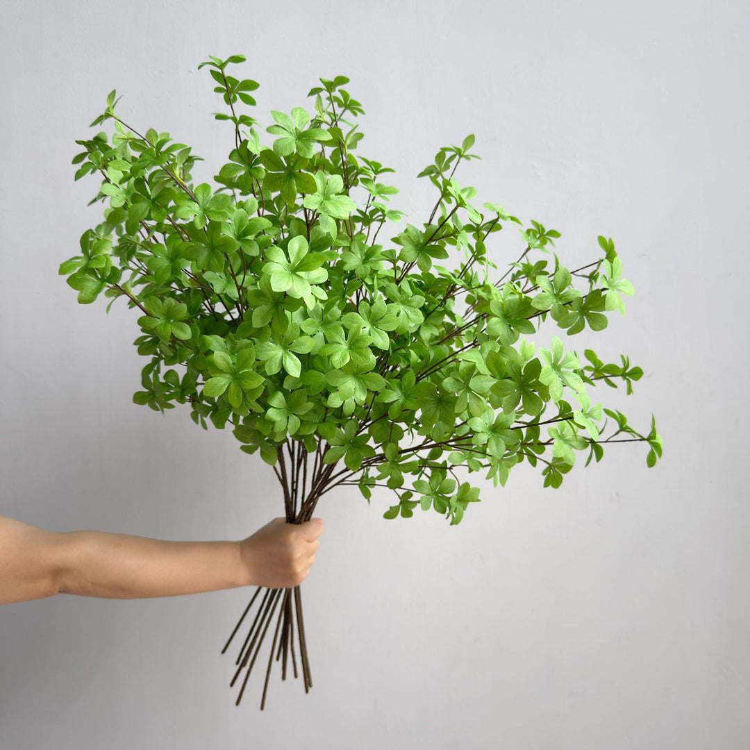 Elegant Decorative Plant