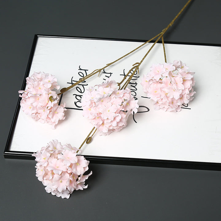 Decorative Dried Floral Stem for Home Decor