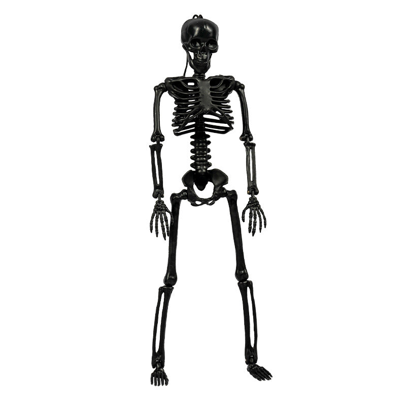 Jointed Posable Skeleton Figures Kalsten