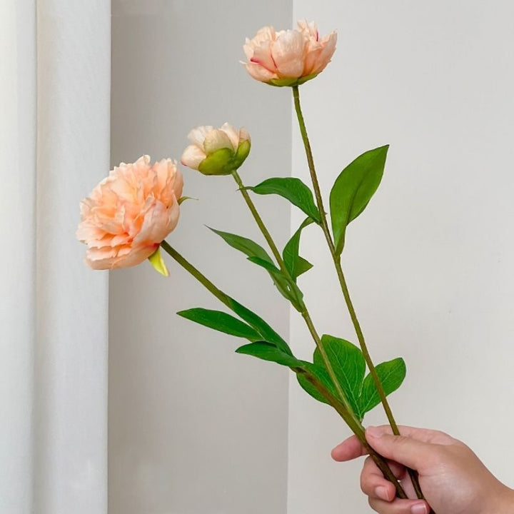 Realistic Peony Floral Stem
