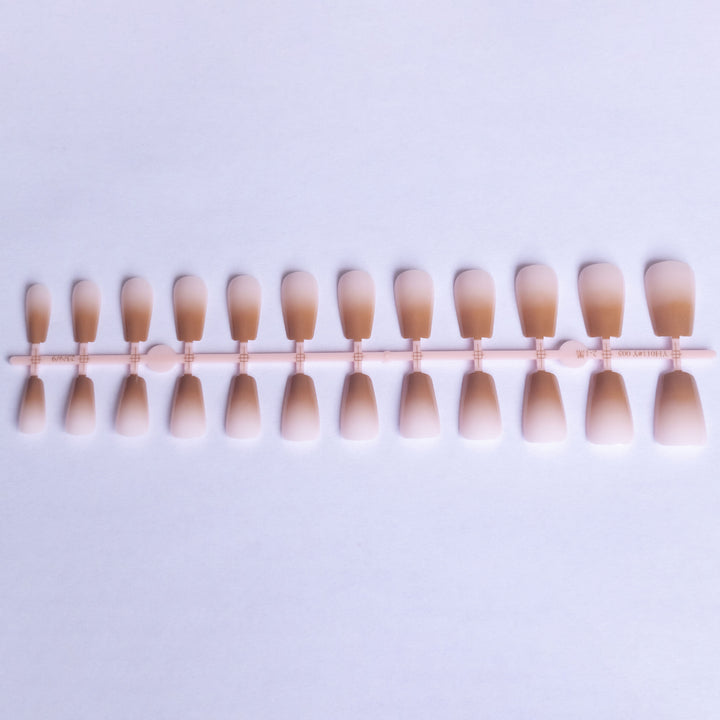 Ombre Gel Nail Art