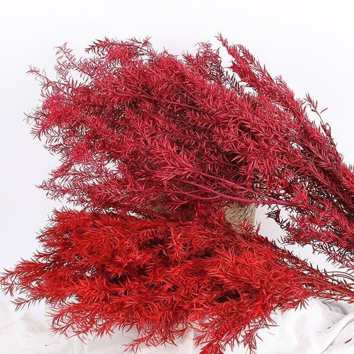 Premium Dried Floral Stems