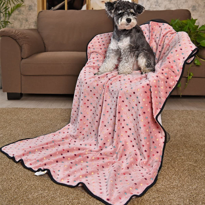 Ladies Cozy Microfiber Blanket with Playful Pattern Kalsten