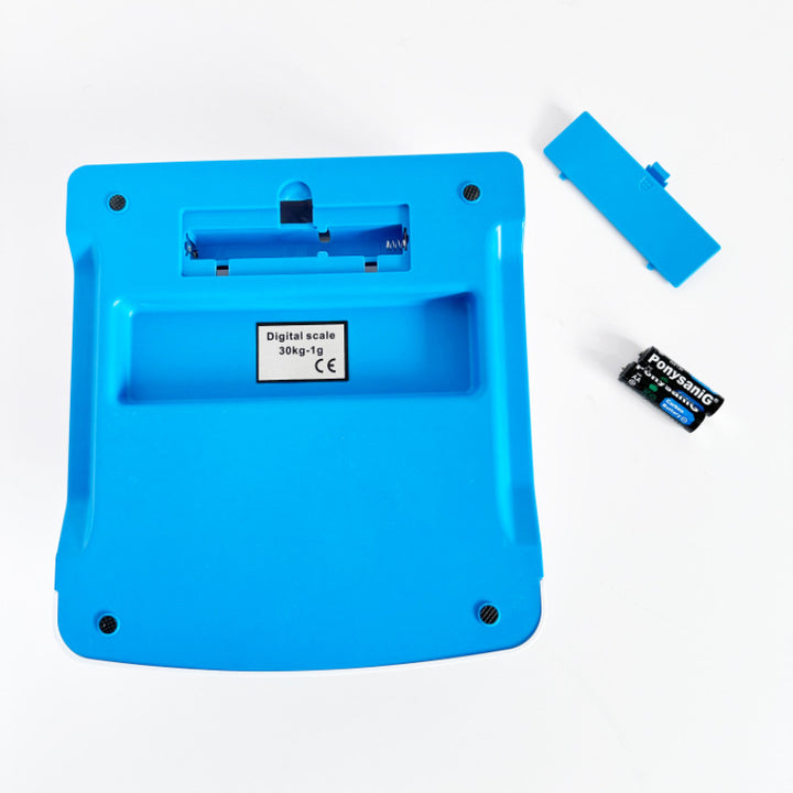 Digital Precision Weighing Scale