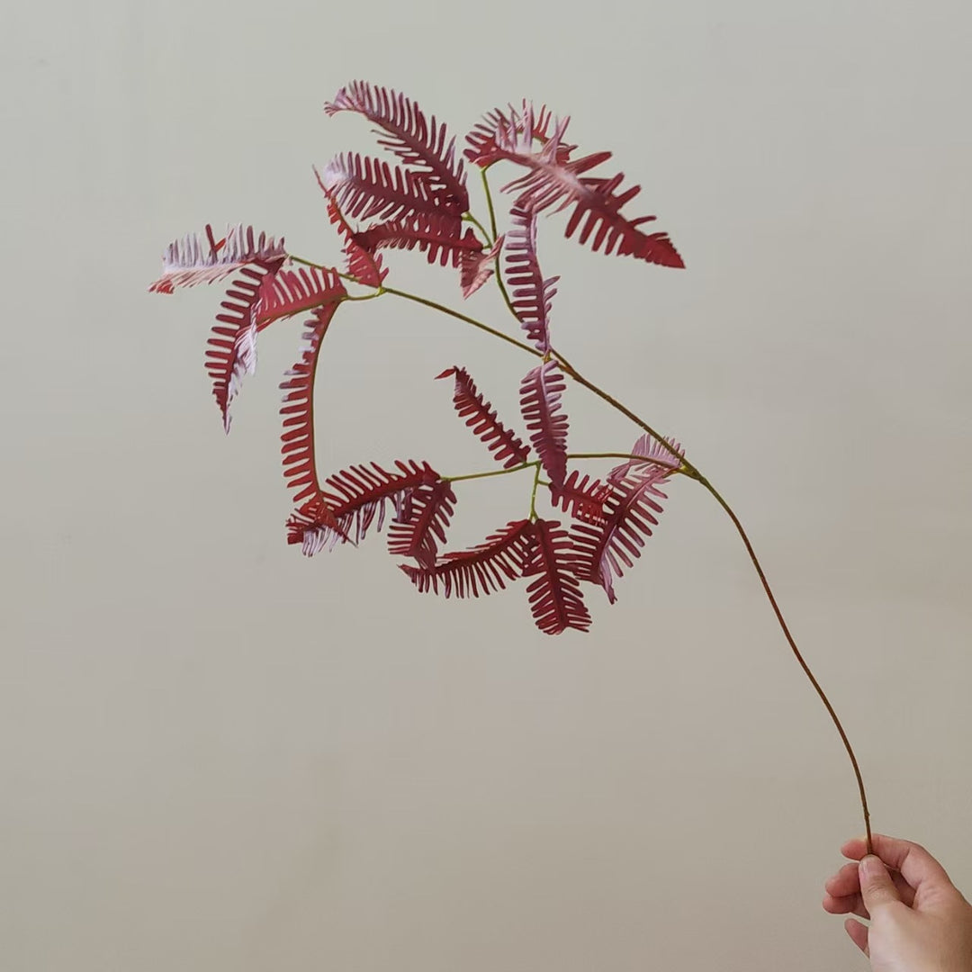 Artistic Fern Stem