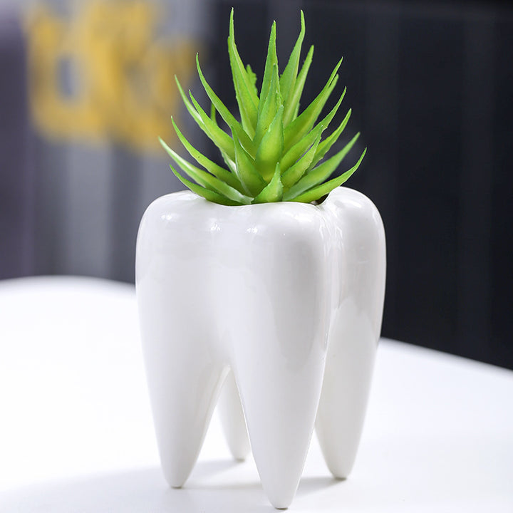 Creative Tooth-Shaped Planter Kalsten