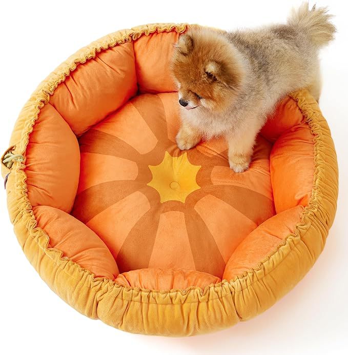 Cozy Round Pumpkin-Shaped Dog Bed