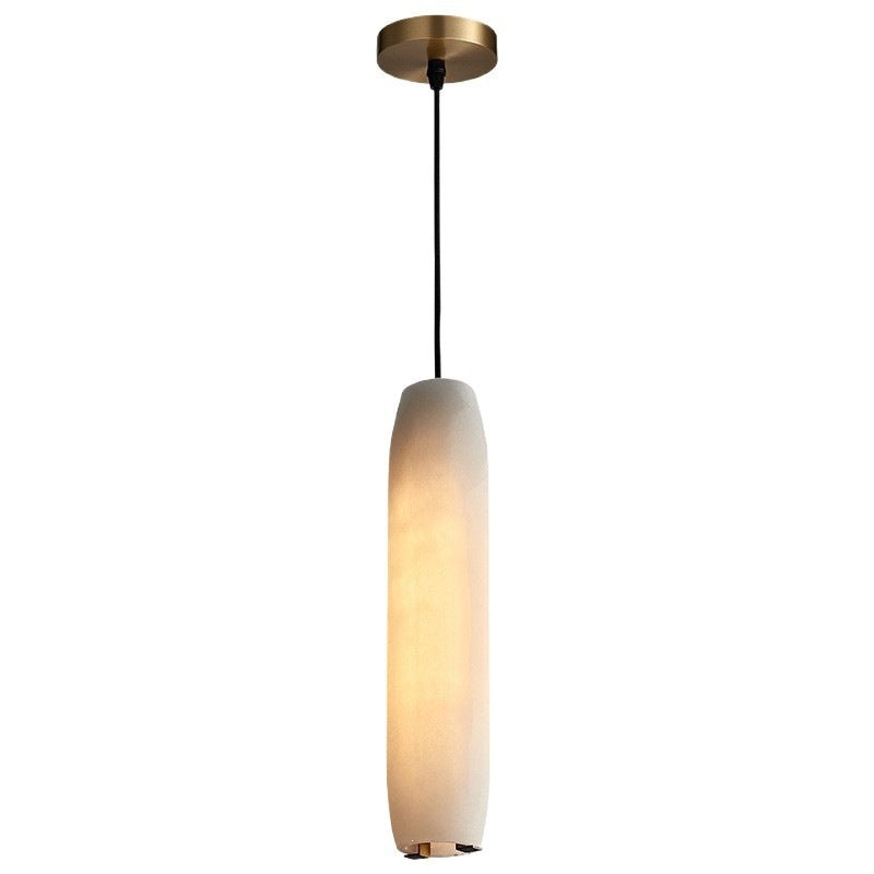 Modern Pendant Ceiling Light Fixture