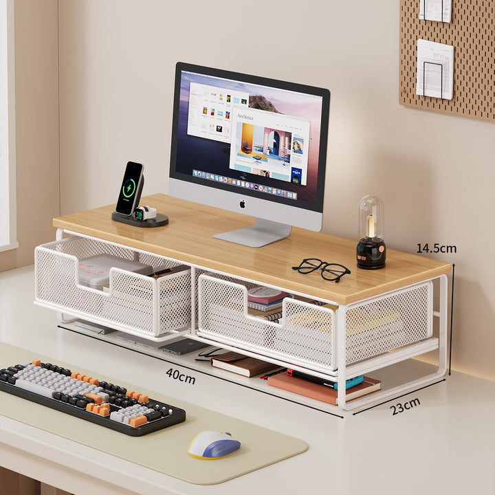 Multi-Functional Desk Organizer with Mesh Storage Bins Kalsten