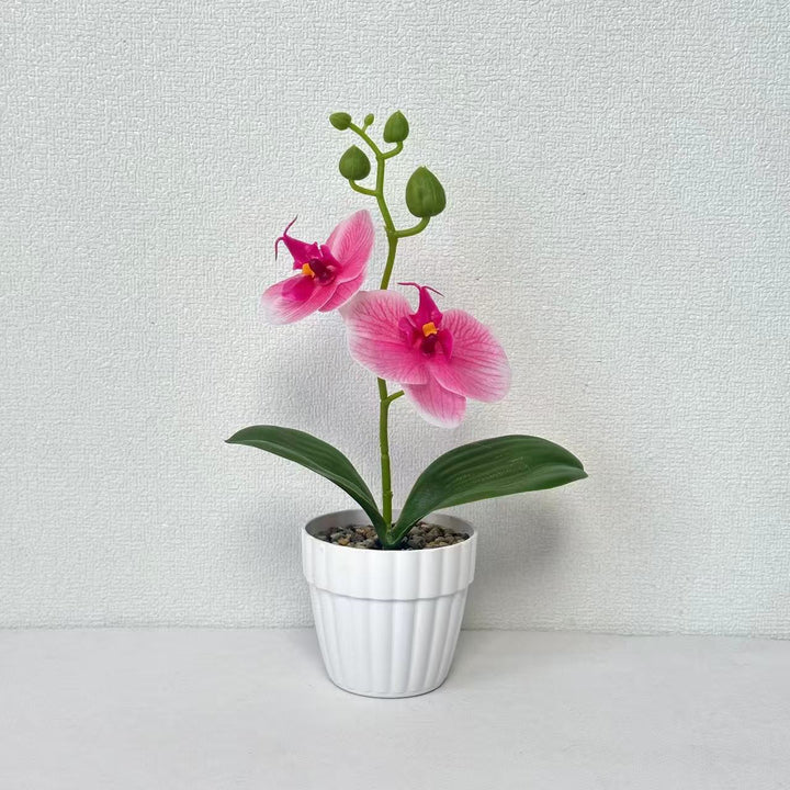 Lifelike Orchid Plant in Decorative Ceramic Pot for Decor