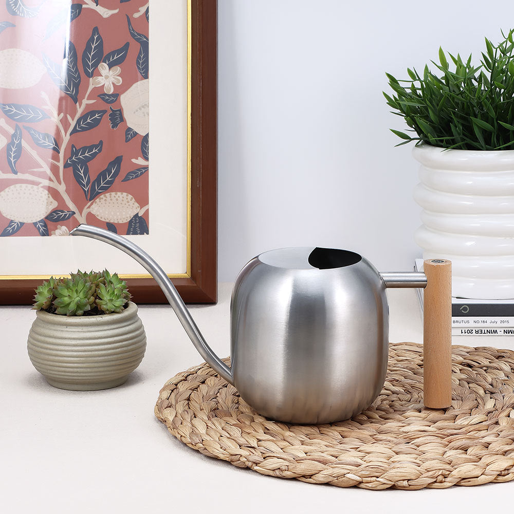 Modern Steel Watering Can