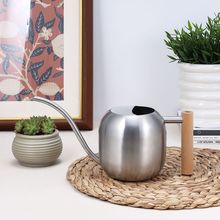 Modern Steel Watering Can