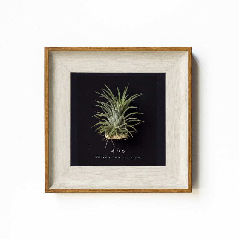 Artistic Botanical Art Frame for Home Decor