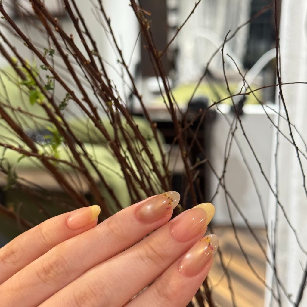 Elegant Ombre French Tip Nail Extensions