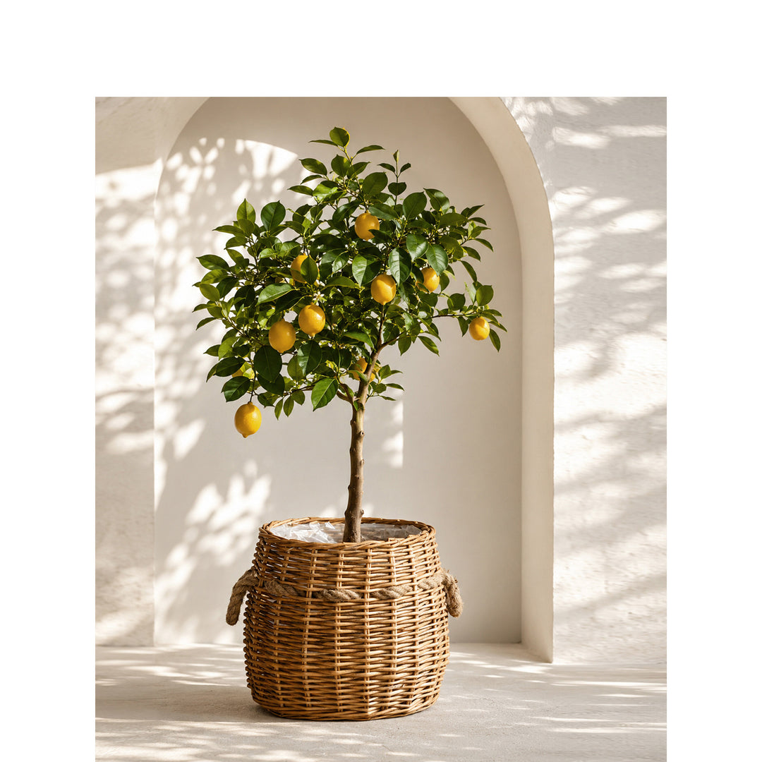 Storage basket Kalsten