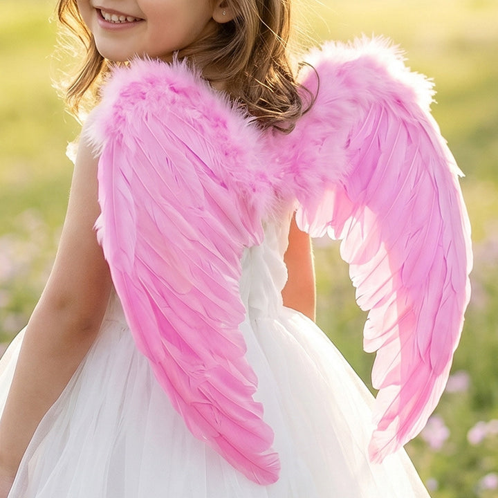 Angel Wings Costume Accessory
